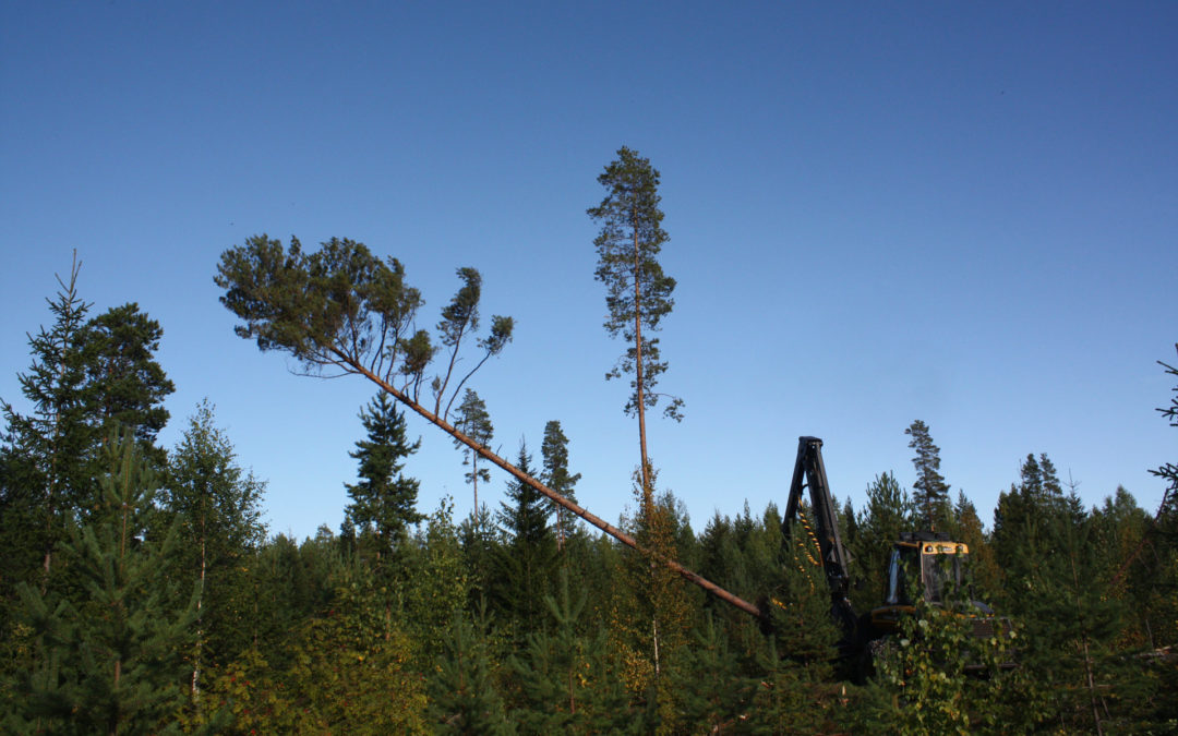 Avoimia työpaikkoja Pohjois-Karjalassa